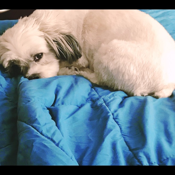 Meet your Posher, Melissa - Picture 2 of 3